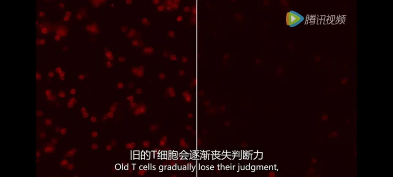 图片 3.png